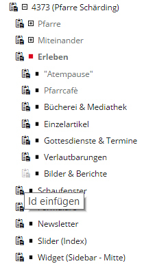 Widget erstellen