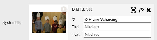 Artikel erstellen