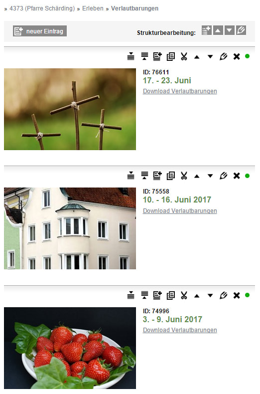 Widget erstellen
