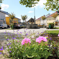 Leben in der Pfarrgemeinde
