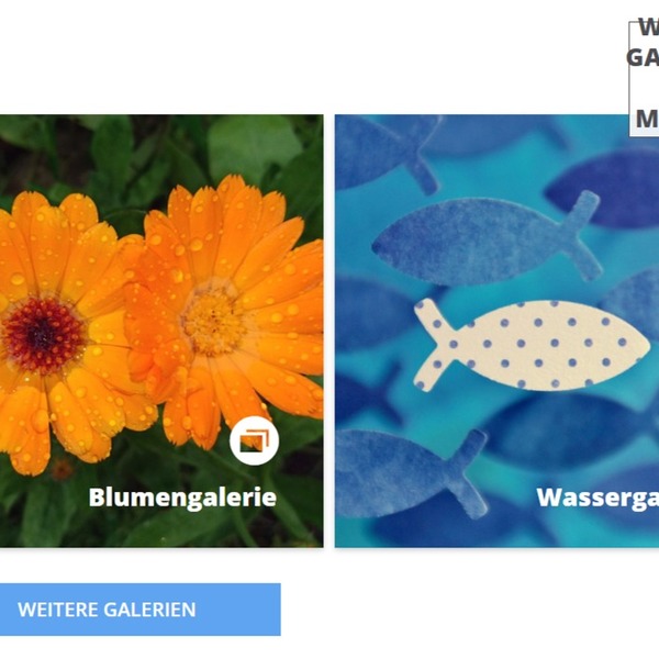 Screenshot Galerie-Liste Mosaik
