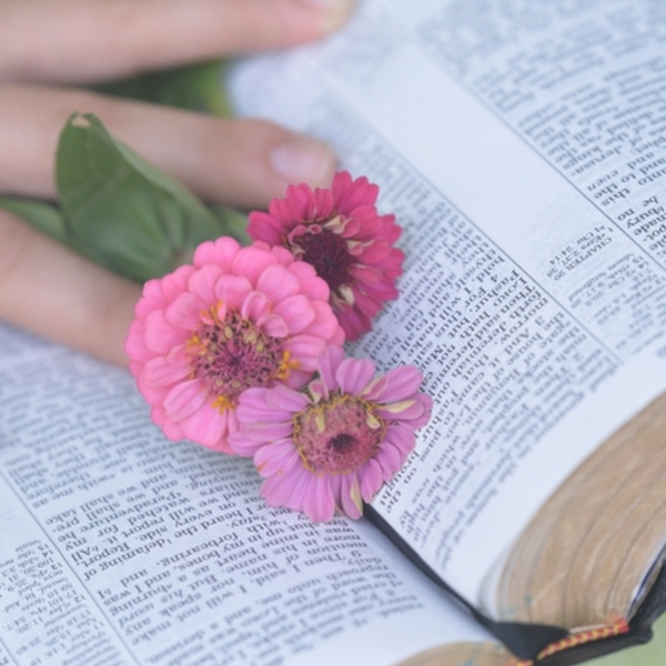 Bibel / MHigh, www.pixabay.com Bibel