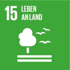 Leben an Land
